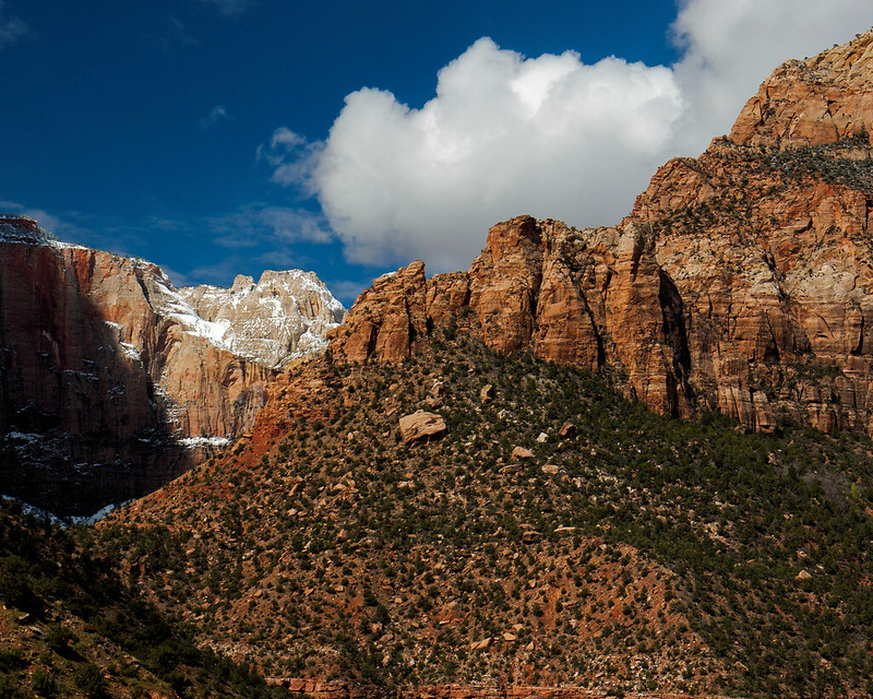 8x10 Zion NP  IMG_6173
