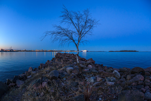 sea tree night dark landscape prime spring helsinki lowlight nightscape fisheye bluehour puu 15mm lauttasaari yö kevät laru