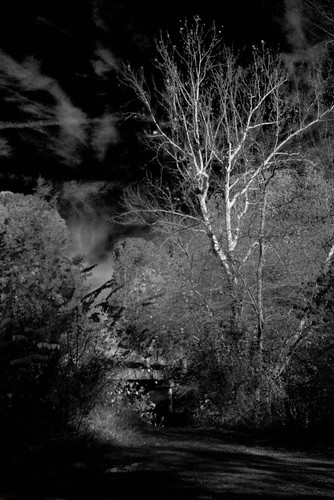 light bw monochrome contrast dark landscape virginia bn infrared pictorialism photosecession northannariver