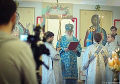 Антоньев монастырь литургия 320
