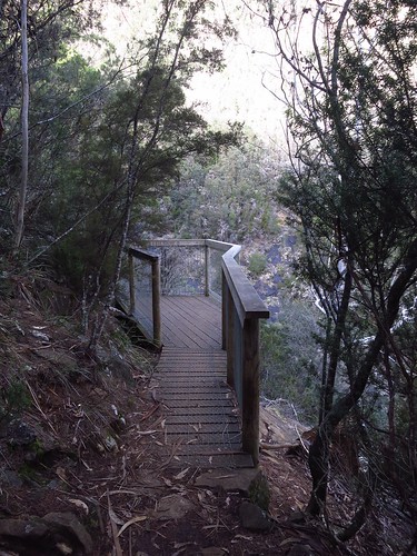 track lookout tasmania snugtiers snugtiersrecreationarea pelveratafallstrack