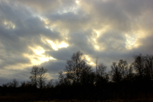sunset sky cloud sun white tree silhouette landscape belgium cloudy landschap flanders vlaanderen natuurreservaat natuurpunt liereman oudturnhout deliereman