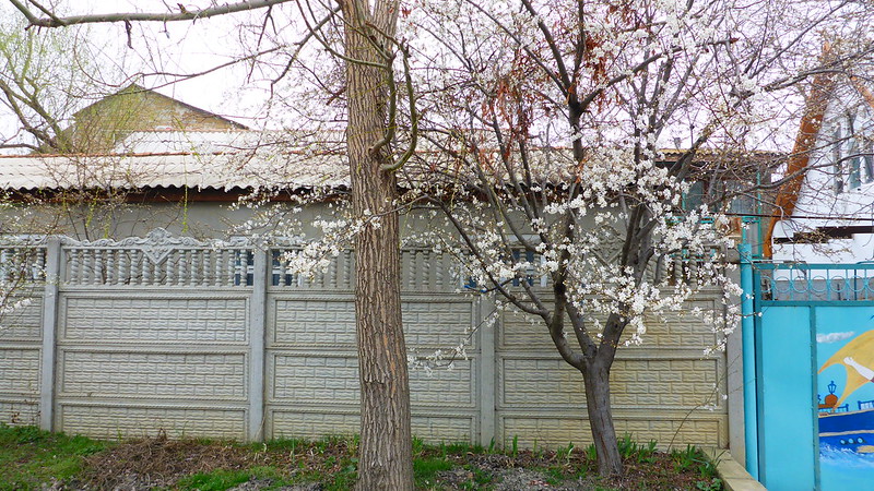Белый Крым Парк Айвазовское Судак Новый Свет Коктебель Феодосия без авто март