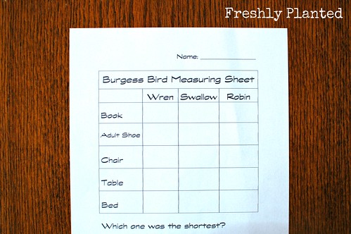 Measuring in Birds