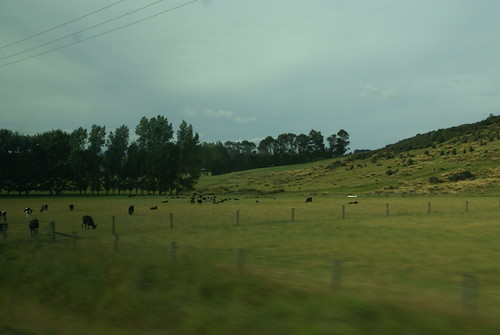 newzealand geotagged farmland southisland frombus geo:lat=45523280 geo:lon=167836388