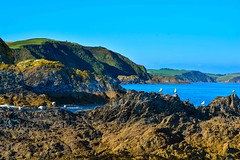 The Rugged Cornish Coast