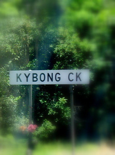 IMG 2042  Kybong Creek