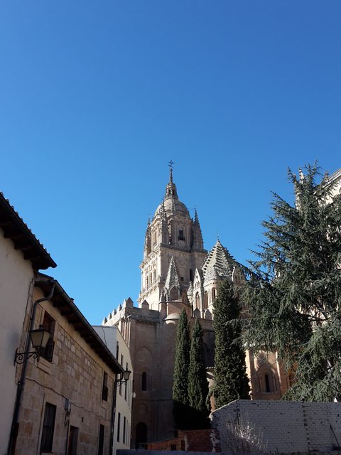 Un paseo por Salamanca (1/2d) - Conociendo España (36)