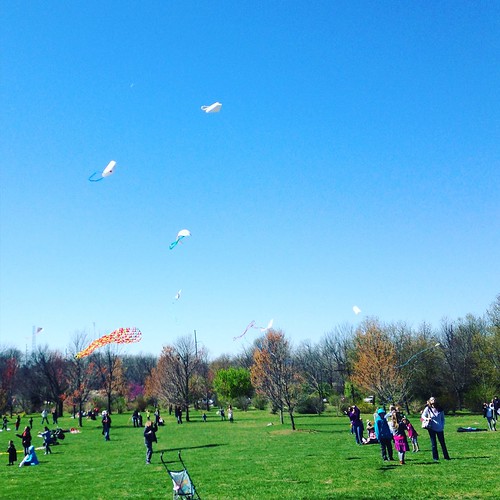 Cherry Blossom Kite Festival