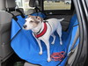 dog seat cover 06