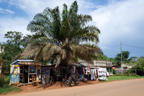 africa street houses sky tanzania palmtree shops bukoba