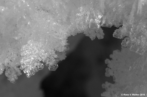 statepark winter blackandwhite macro ice monochrome closeup crystals hoarfrost idaho northbeach bearlake