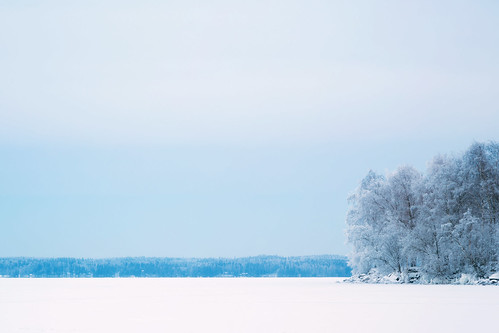 blue trees white lake snow cold ice suomi finland landscape scenery view cloudy freezing overcast tampere minimalistic näsijärvi
