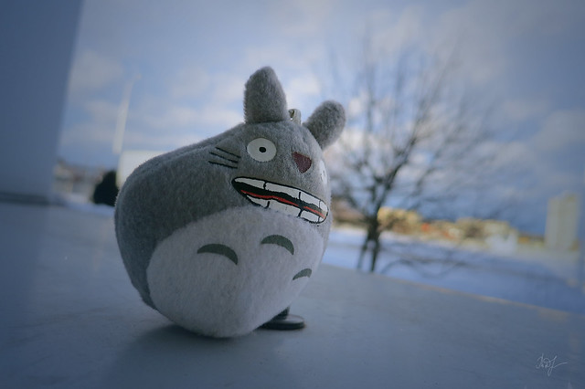 Day #29: totoro is waiting for spring