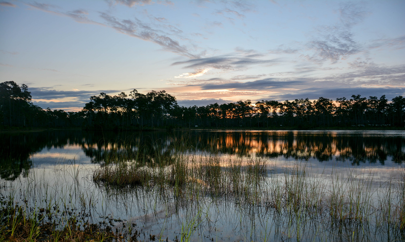 sunset behind trees across a lake in the everglades