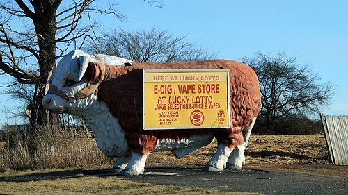 cow big kentucky bull roadsideamerica bigthings bigcow simpsoncounty