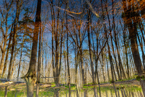 park trees reflection tree reflections geotagged spring pond nikon unitedstates indiana fremont hdr woter pokagonstatepark nikond5300