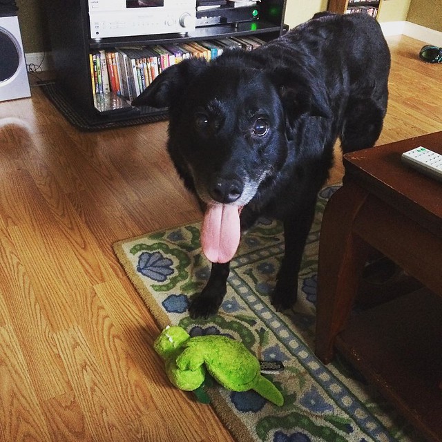 Maggie and her (soon to be destroyed) dragon.