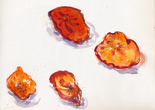 Sketchbook #94: Dried Persimmons