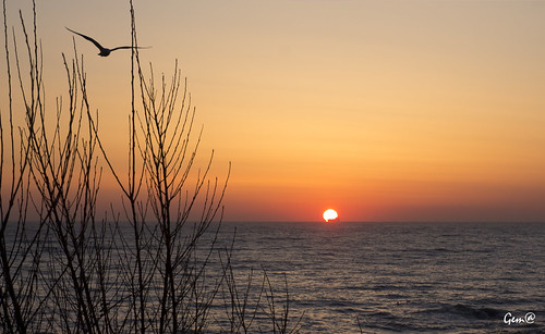 sea españa seascape beach marina sunrise mar spain asturias playa amanecer cielo gaviotas seaguls asturies 1100d