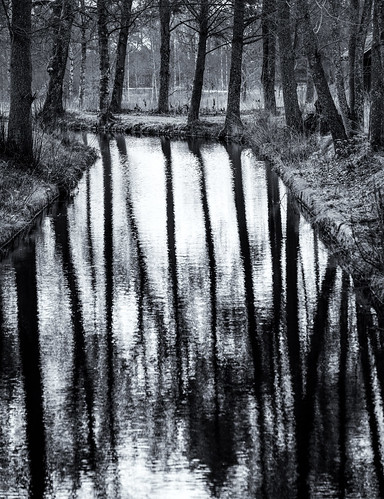 water monochrome se canal spring shadows sweden outdoor sverige scandinavia västmanland hallstahammar strömsholmskanal västmanlandslän skantzen canoneos5dmarkiii canonef70200mmf28lisiiusm sörkvarn