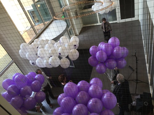 Heliumballonnen Bedrukt Schoevers NCOI Hilversum