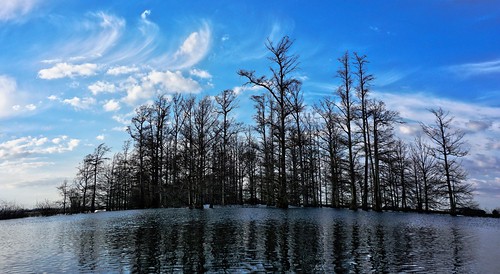 trees sky lake water clouds mississippi lens fishing bass sony air drew blues delta fisheye catfish cypress kit oval flickrfriday parchman a6000 parchmankid