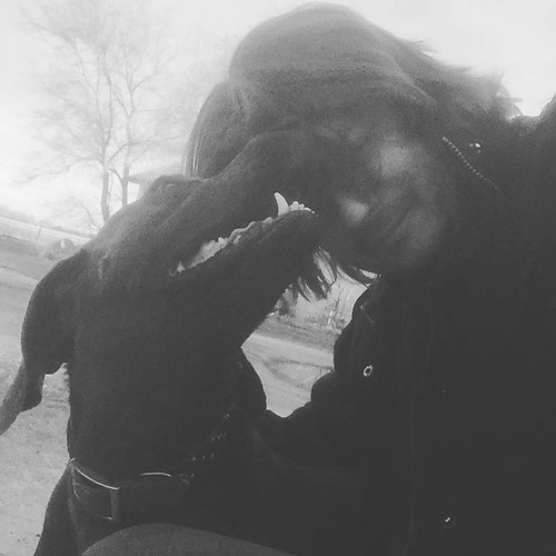 moon rural square blackwhite farm weimaraner squareformat selfie bigdog huntingdog iphoneography instagramapp