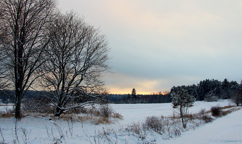 trees winter light snow nature clouds woodland suomi finland landscape outdoor fields kaarina canonefs1785mmf456isusm