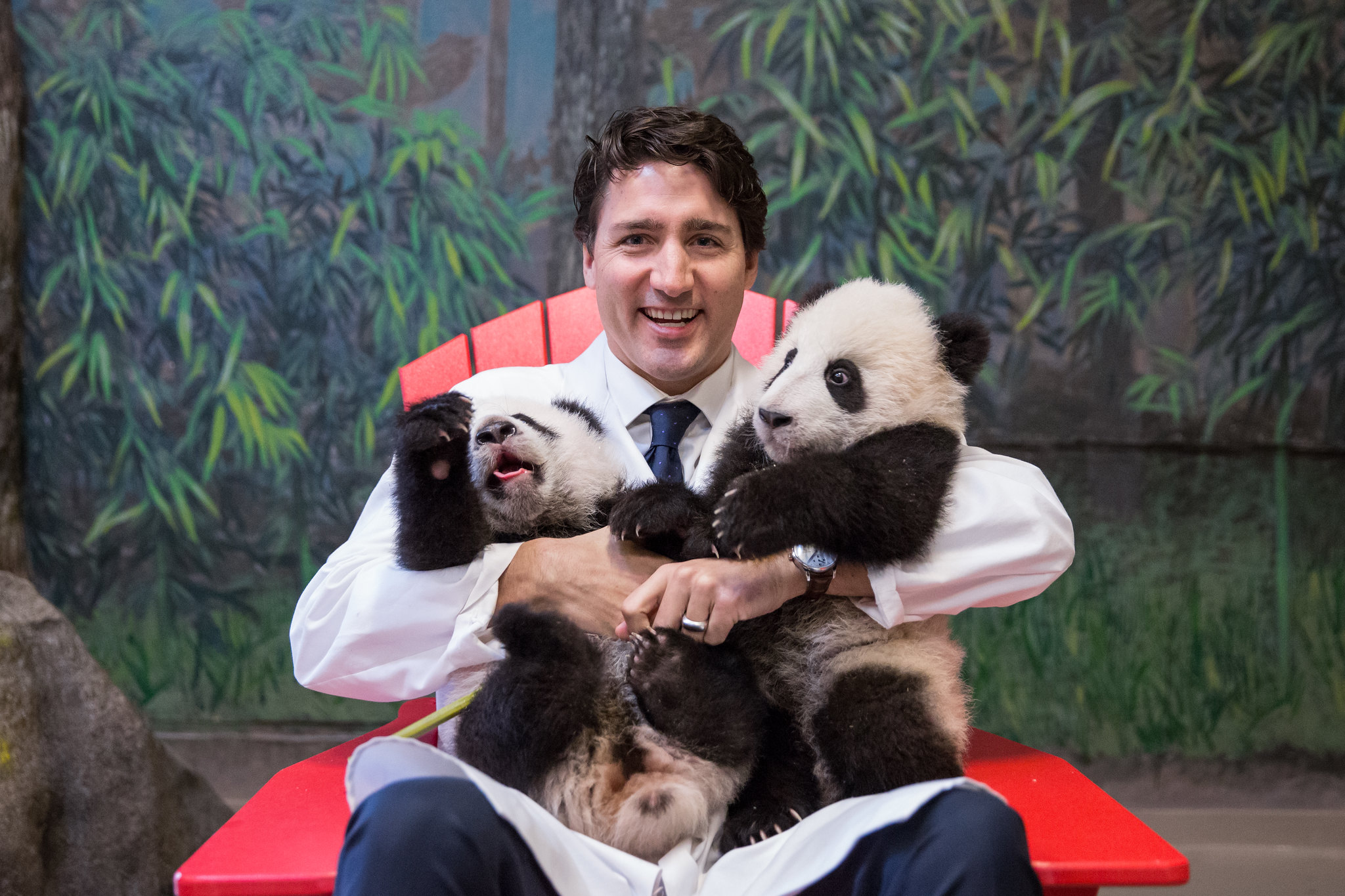 Обнять панду. Джастин Трюдо с пандами. Обниматель панд профессия. Премьер министр Канады с пандой. Профессия обниматель панд в Китае.