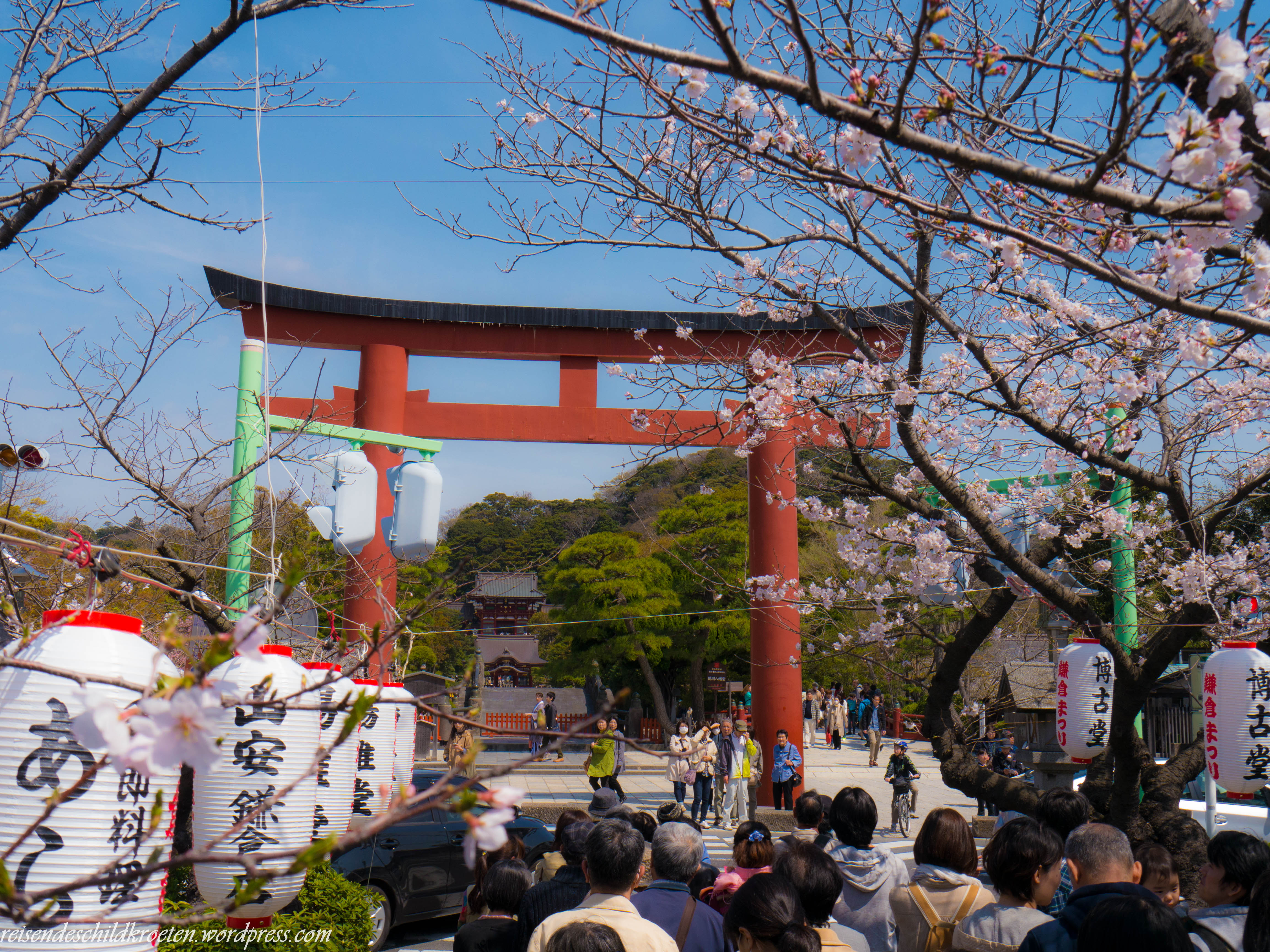 torii Gate