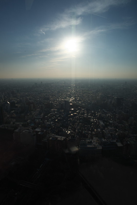 東京都庁展望室からの眺め