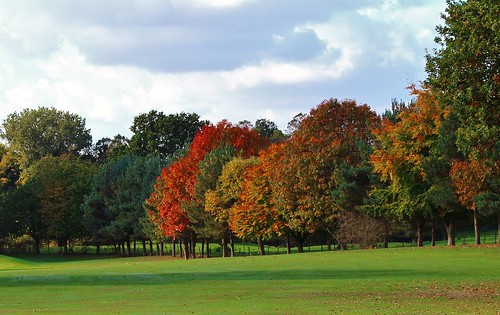 autumn trees england sunlight colour nature countryside europe cheshire outdoor greatphotographers