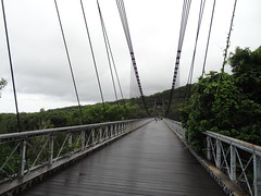 Le Pont Suspendu
