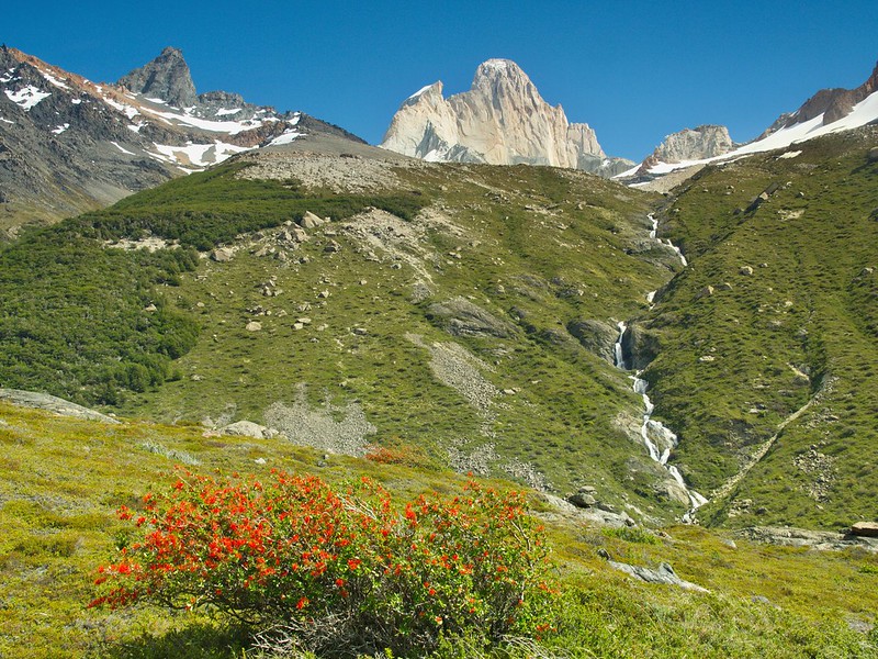 El Chaltén: El Valle Eléctrico - Por la Patagonia ARGENTINA (16)