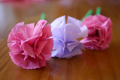 Paper Carnation Flowers