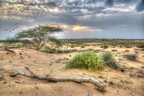 sunset cloud nature countryside desert saudiarabia غروب jazan منظر السعودية غيوم طبيعة صحراء ريف مرعى jizan جيزان sabiya جازان صبيا الطمحة