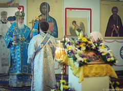 Антоньев монастырь литургия 270