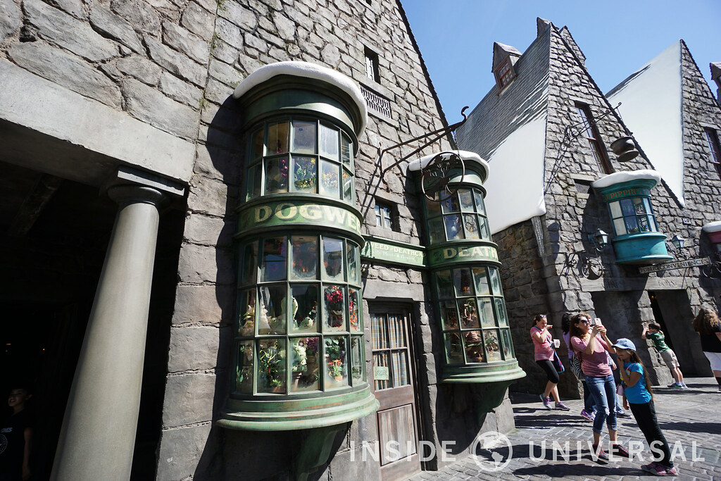 The Wizarding World of Harry Potter at Universal Studios Hollywood - Dogweed and Deathcap