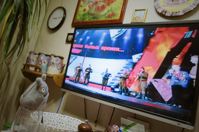 Day #54: totoro is watching the concert dedicated to Defender of the Fatherland Day