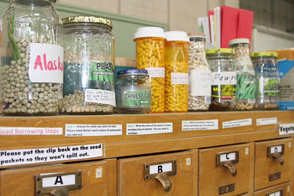 photo of seed library