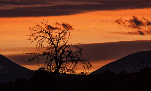 sunset sky tree clouds evening montana