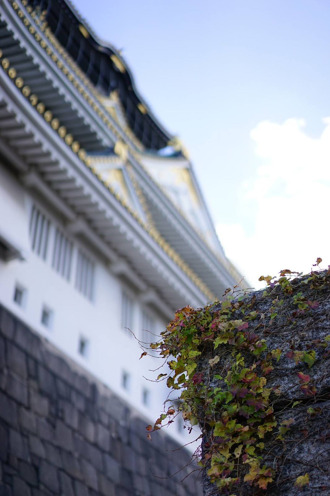 Osaka-jo Castle #1