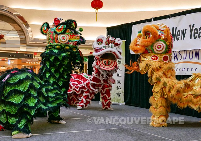 Richmond, BC Chinese New Year-12