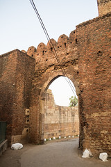 South Bhadra gates