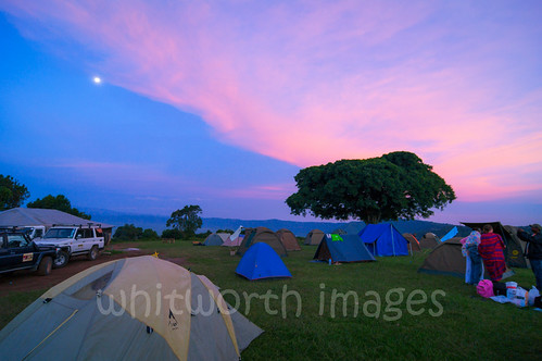 africa travel camping sunset camp sky moon tree tourism tanzania tents dusk african ngorongoro ngorongorocrater campsite eastafrica ngorongoroconservationarea