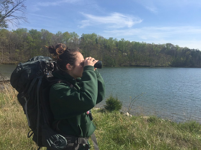 Birding  at Smith Mountain Lake State Park, Virginia