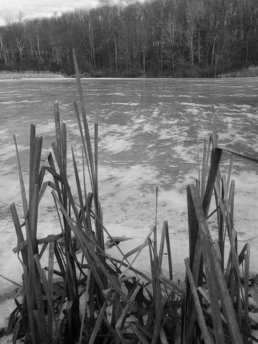 winter ice frozen pond