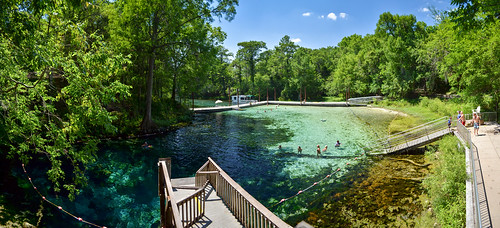 statepark park water swimming spring florida springs fanningsprings suwanneeriver