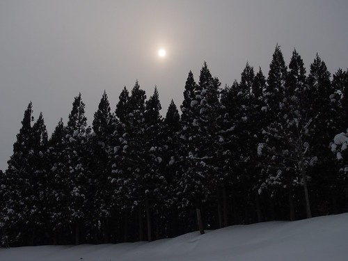 winter cloud sun snow ski tree japan cedar area akita yashima yurihonjo